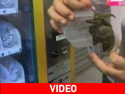 Ζωντανά καβούρια σε αυτόματους πωλητές!